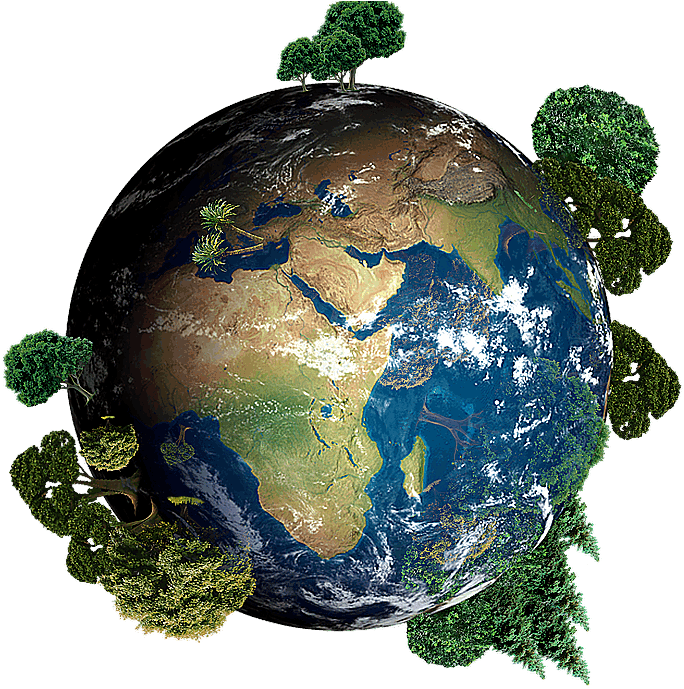 Globe with trees on surface