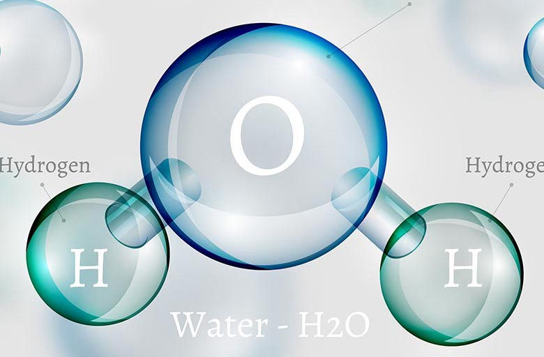 Water Molecule
